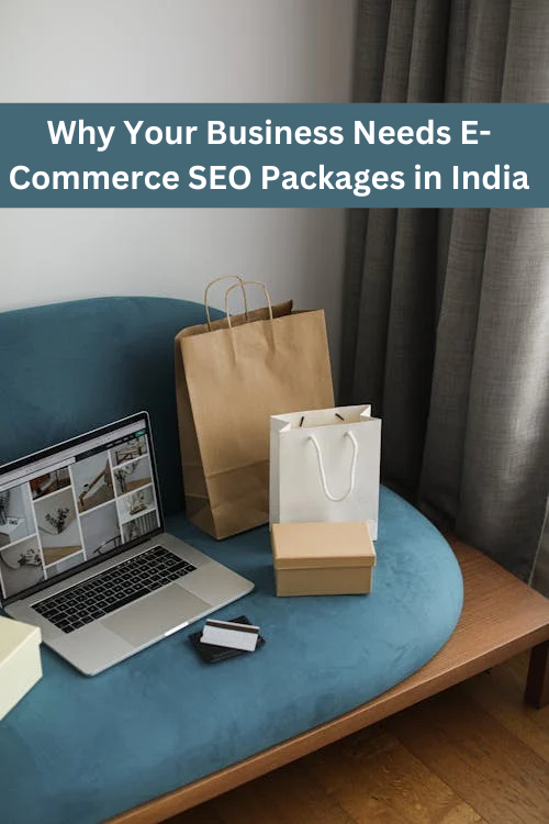 Why Your Business Needs E-Commerce SEO Packages in India